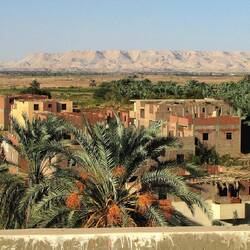 The Dakhla Oasis...date palms breaking up the desert