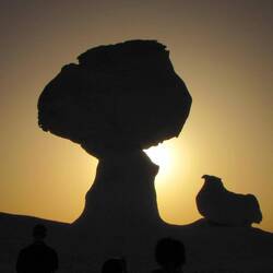 The "Chicken and the Mushroom"...and someone's kid