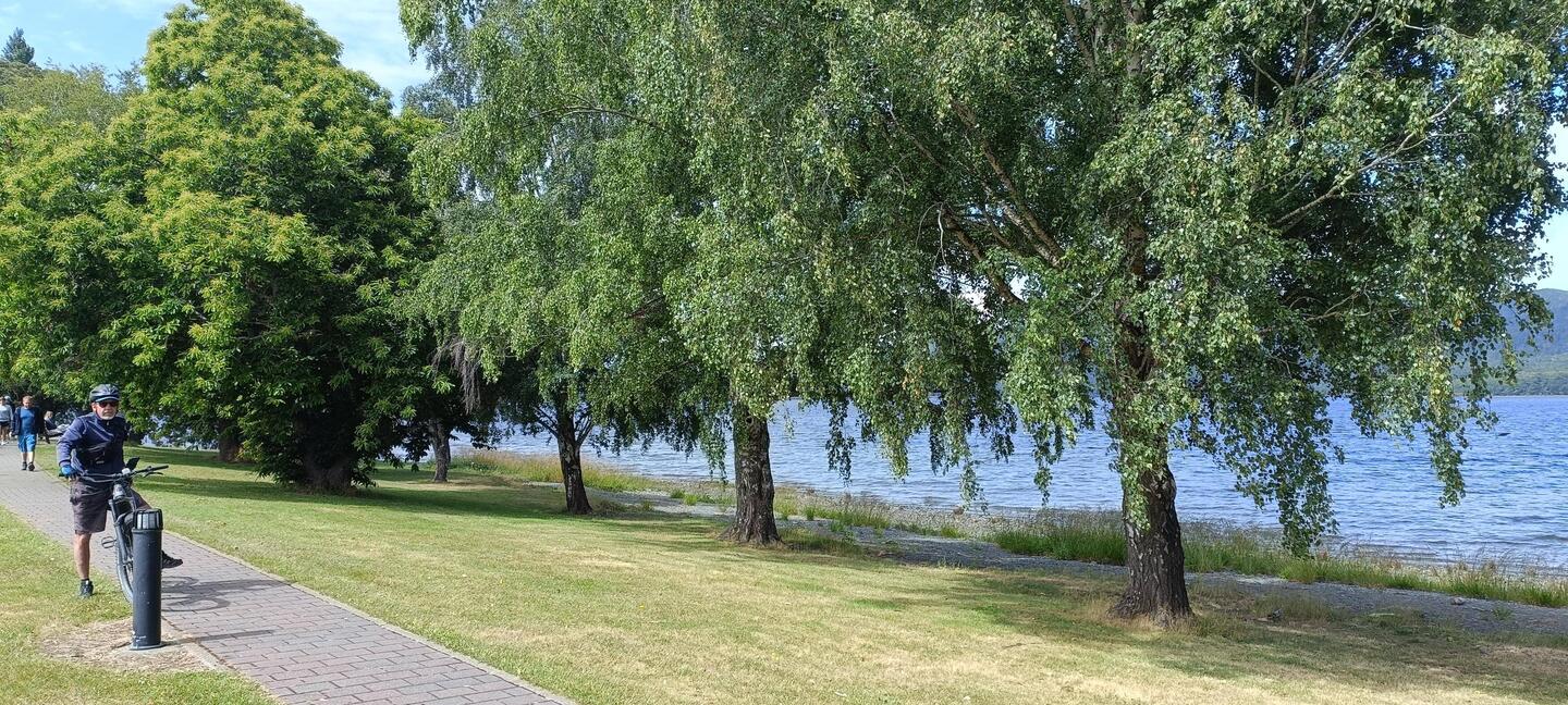 Balade à vélo 🚲