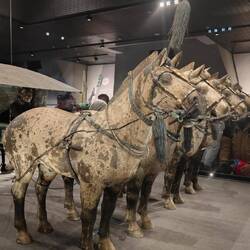 After 8 years of intensive reconstruction were they have been put together cntnd ç next picture