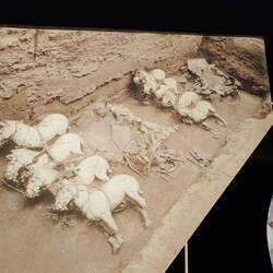 These 4 horse drawn carriages all in intricate bronze detail were found in a collapsed wooden crate