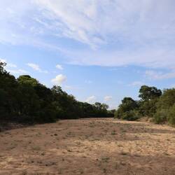 A dry river bed, though it does fill up with a few days of heavy rain.