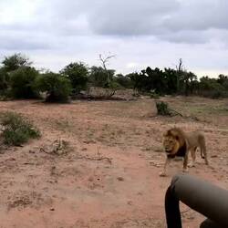 I was keeping a very close eye on him.