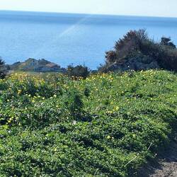 Hier wohnt noch jemand in traumhafter Lage