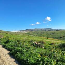 "mare plastico" im Hintergrund