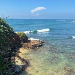 Surfer 🏄