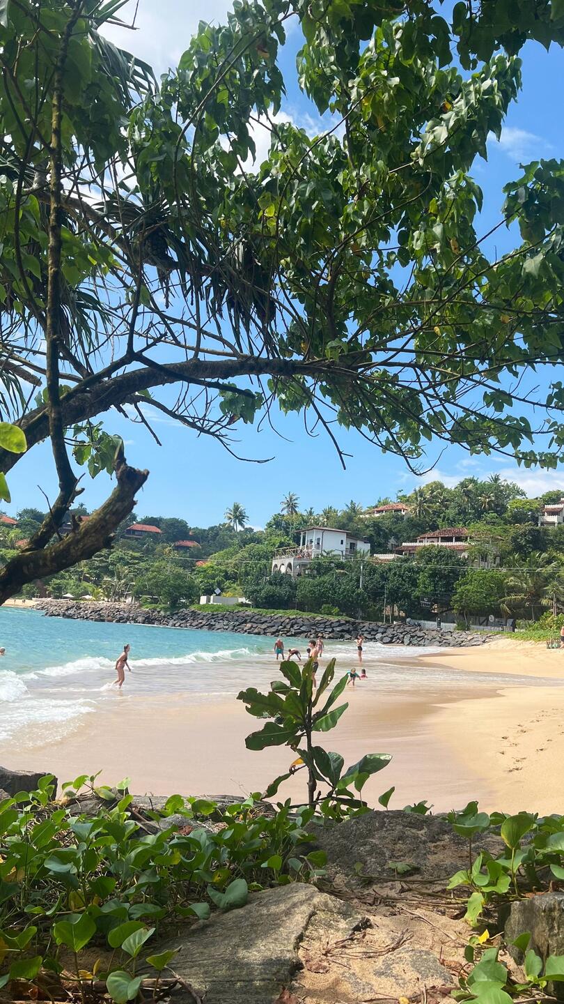 Jungle Beach