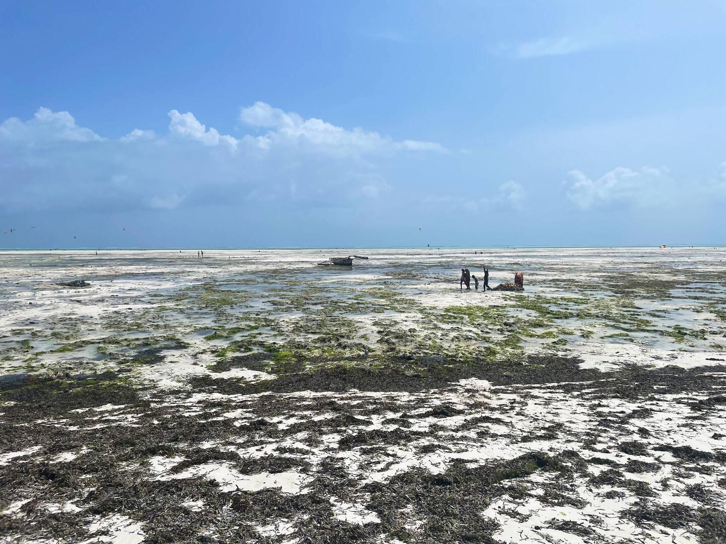 der Strand bei Ebbe