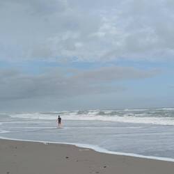 They were the only kids in the water except a few surfers. The Florida kids thought it was too cold