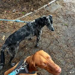 Finally settled and calm