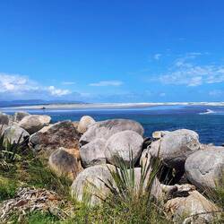 Okari Bay
