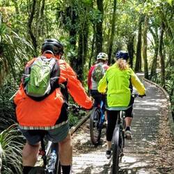 Biking towards Westport