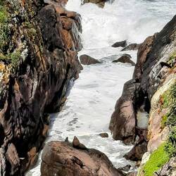 Walked to seal colony