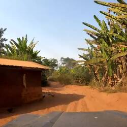 Auf dem Weg zur Farm