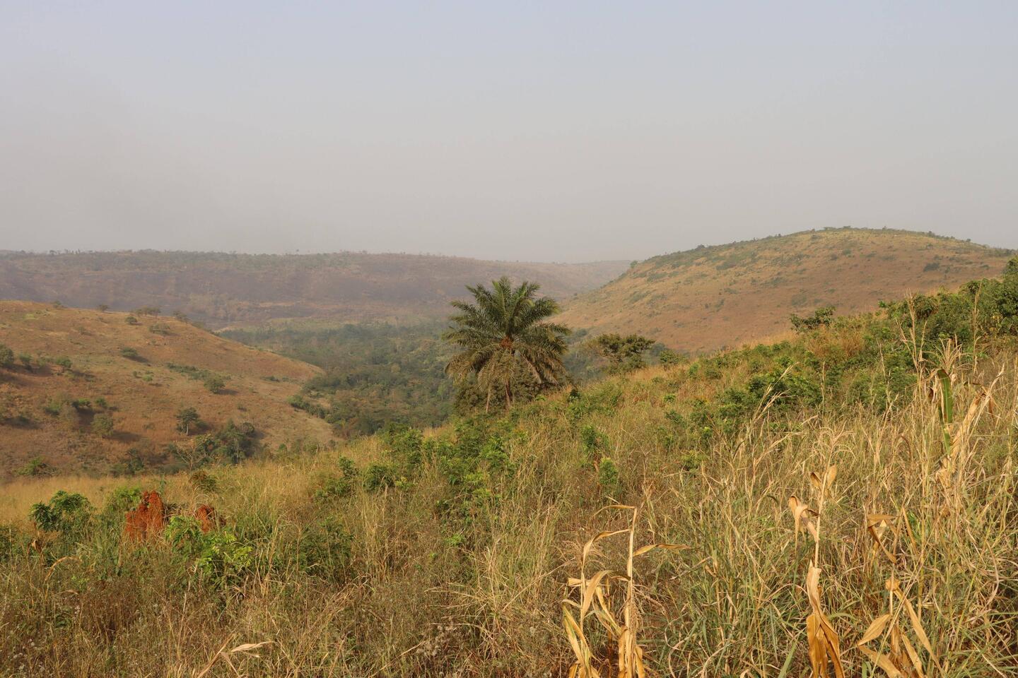 Auf dem Weg zur Farm