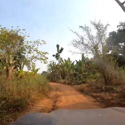 Auf dem Weg zur Farm