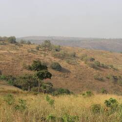 Auf dem Weg zur Farm