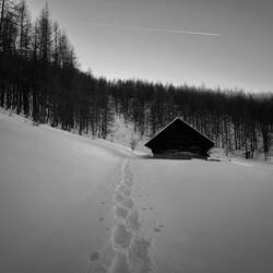Und kurz nach den drei Hütten der Wildenalm..