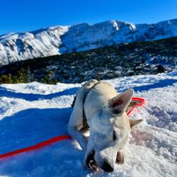 ..das Mittagsmenü besonders gut schmecken.