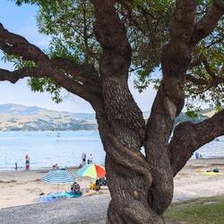 Akaroa