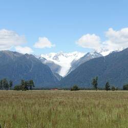 Fox Glacier