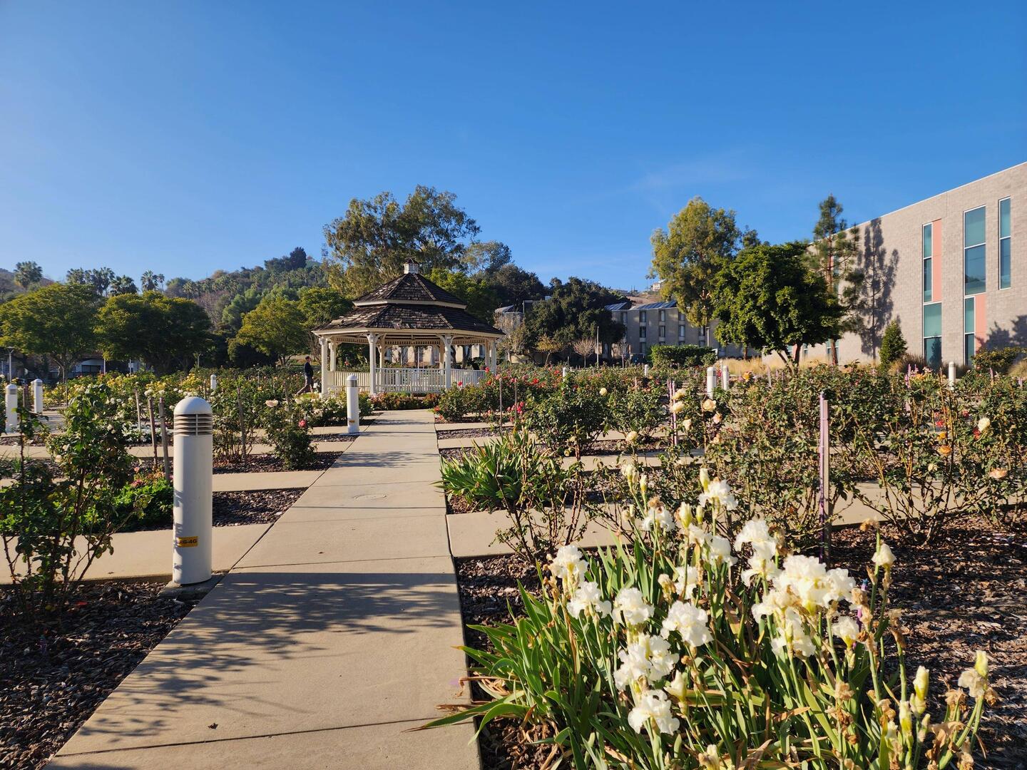 Cal Poly Pomona