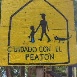 Juste deux piétons avec leur iguane de compagnie