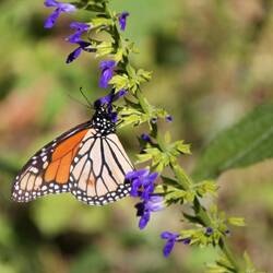Da lohnt sich die Kamera mal wieder