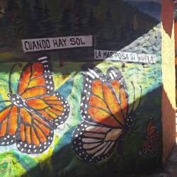 Zum Glück ist es sonnig