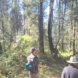 Ein grübelnder Hendrik zwischen Schmetterlingen