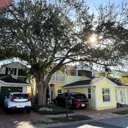 Typisches Dunedin-Home