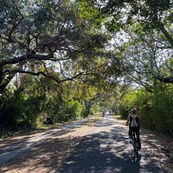 Pinellas Trail