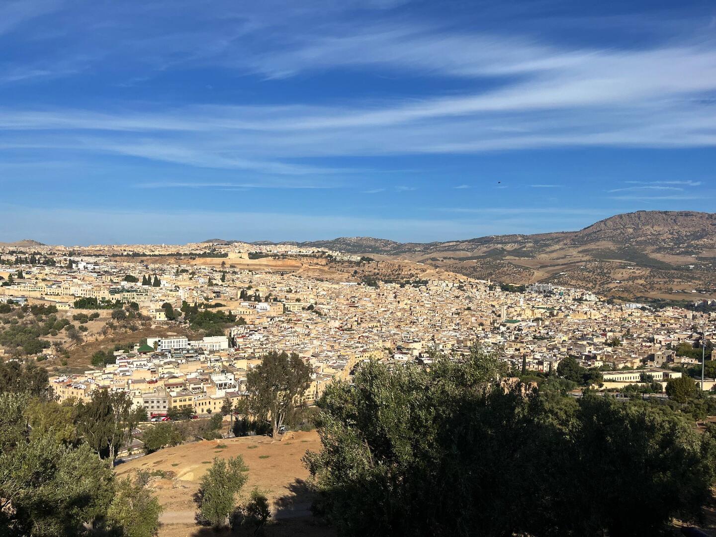 Fes from the lookout