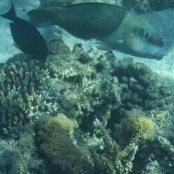 Mein Lieblingsnachbar🥰