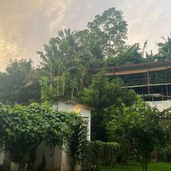 Yoga Shala 🧘🏻‍♀️