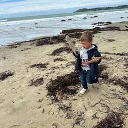 Benjamin found sticks