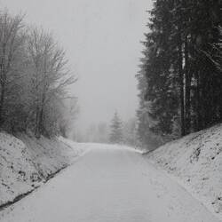 Auf dem Linspherradweg nach Winterberg