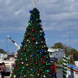 Downtown Christmas tree