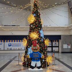 A rather unstylish tree in a rather abandoned shopping mall in central Tamworth