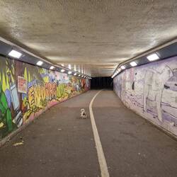 The underpass on the way to the train station. The art makes such a positive difference.