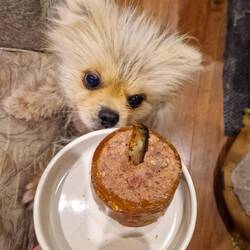 Happy 6th Birthday Leo!