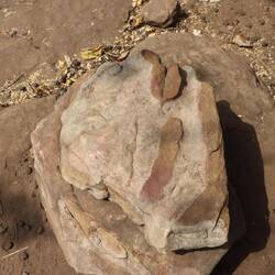 Der berühmte Geschlechtsteil-Stein