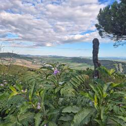 Blick von Vejer