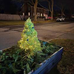 A little planter box
