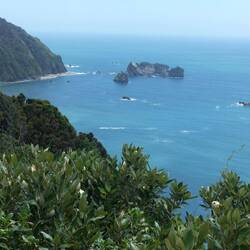 Nights Point Lookout