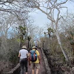 Christmas Day walk with Noemi, her parents, and Moz - to Tortuga bay