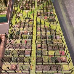 Wunderbare Mischkulturen wurden gehegt und gepflegt