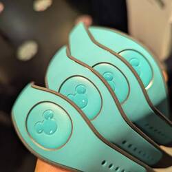 One of our errands. We went to Disney springs to pick these up. Transport was surprisingly easy