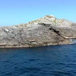 Vous devriez voir des phoques