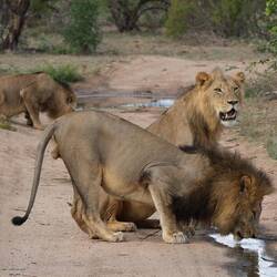 Perhaps he shouldn't bend over quite like that.